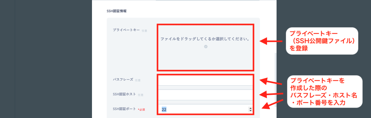 MySQL5.png